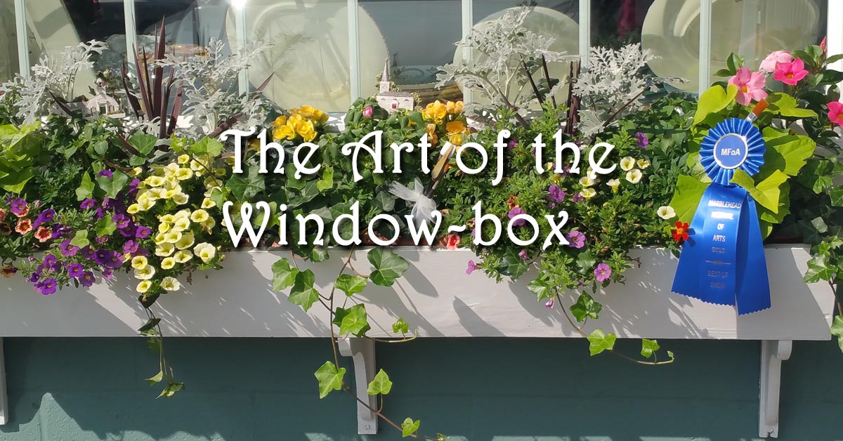 The Art of the Window-Box